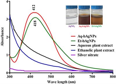 Investigation of the Antibacterial Activity and in vivo Cytotoxicity of Biogenic Silver Nanoparticles as Potent Therapeutics